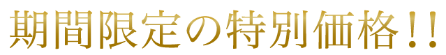 期間限定の特別価格